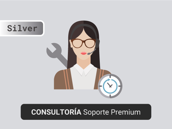 Consultoría por 30 minutos – Soporte Premium